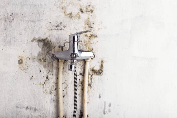 Best Water Damage Restoration  in Uniontown, AL