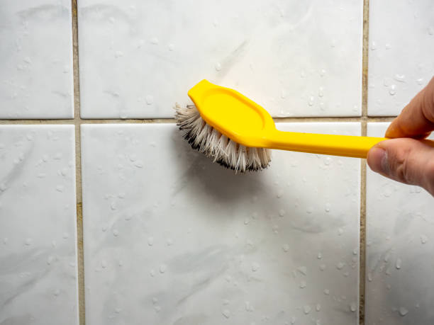 Best Best Mold Removal Companies  in Uniontown, AL