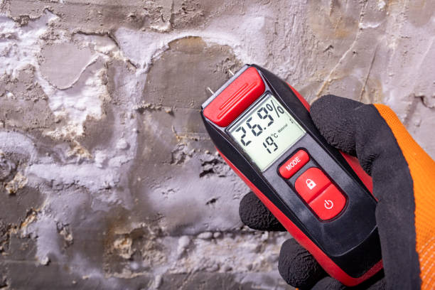 Best Home Mold Removal  in Uniontown, AL