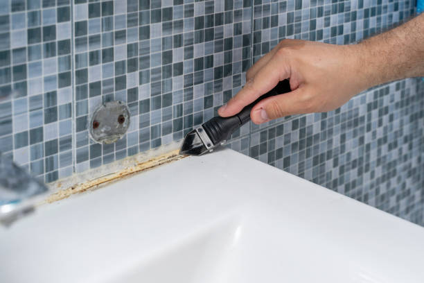 Best Mold Damage Repair  in Uniontown, AL