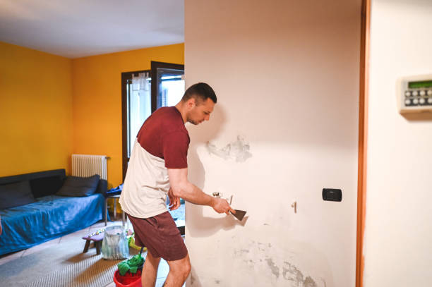 Home Mold Removal in Uniontown, AL