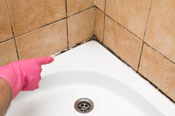 Best Mold Remediation  in Uniontown, AL